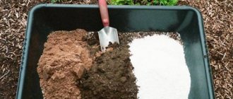 soil mixture for growing outdoors