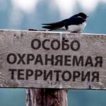 Responsibility for violating the regime of specially protected natural areas and natural objects