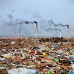 Предметы, объекты и субъекты экологического преступления