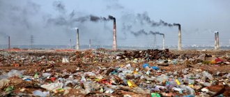 Предметы, объекты и субъекты экологического преступления