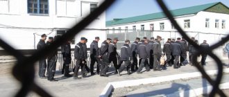 Registration in a Russian prison: what questions are asked to a newcomer