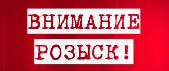 Розыск людей: кто инициирует, как проводятся розыскные мероприятия